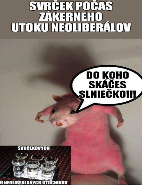 Príspevok 116870