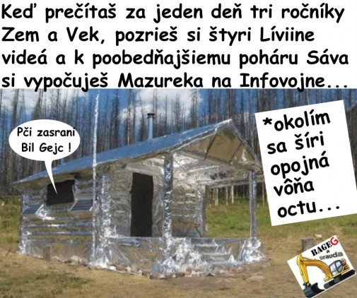 Príspevok 124080