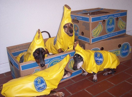 banana