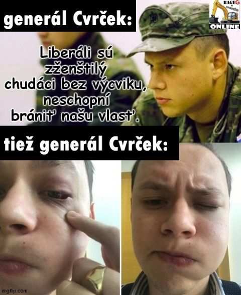 Príspevok 120072