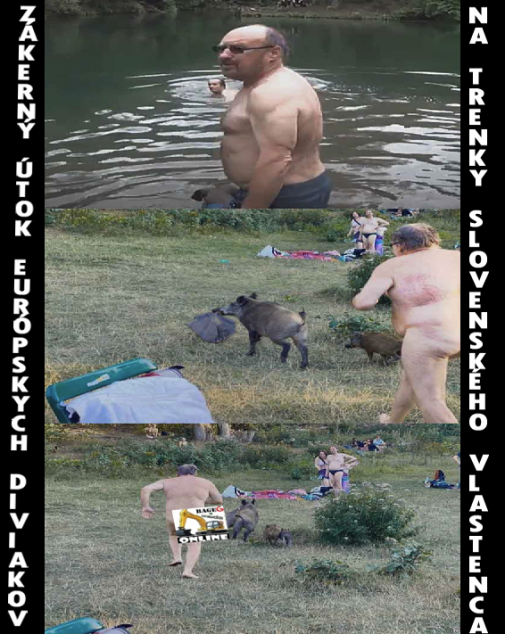 Príspevok 122262