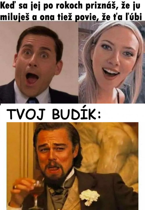 Príspevok 129332