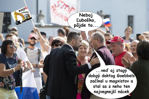 Príspevok 131832