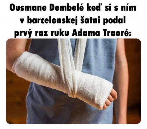 Príspevok 137122