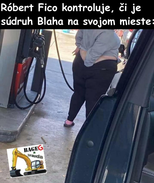 Príspevok 124113