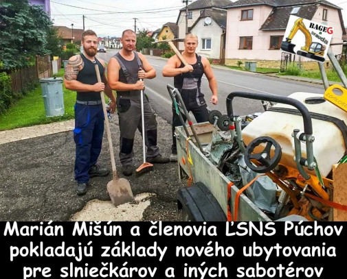 Príspevok 117954