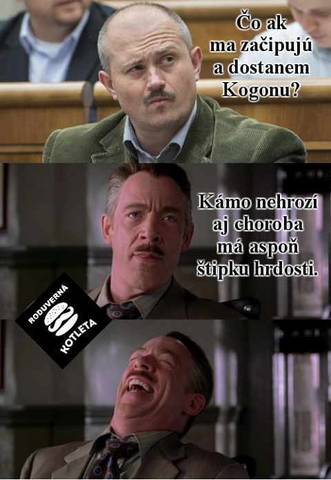 Príspevok 120559