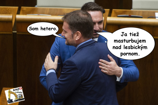 Príspevok 156399